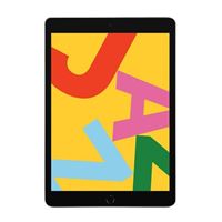 iPad 7 – Space Gray (Late 2019 Refurbished) (was $199.99) now->  $149.9